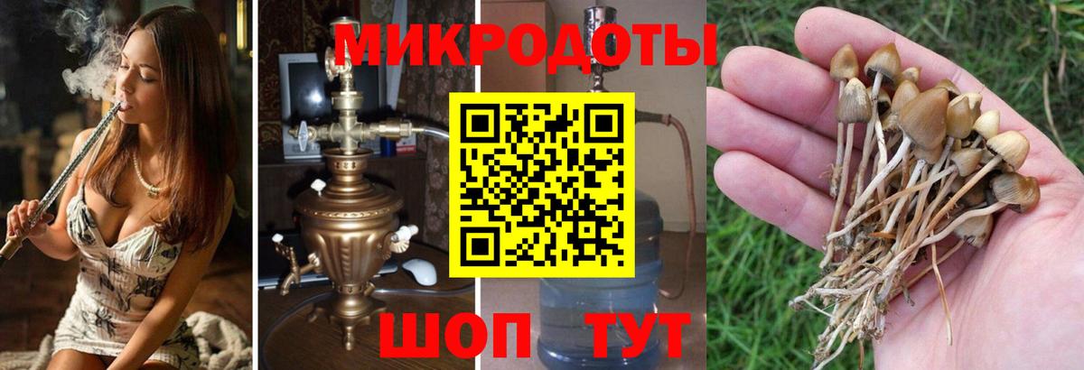 Псилоцибиновые грибы ЛСД Минусинск